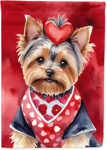 Vista 159 de Caroline's Treasures DAC5252GF Affenpinscher - Bandera de jardín con texto en inglés "My Valentine", bandera decorativa para patio exterior, patio