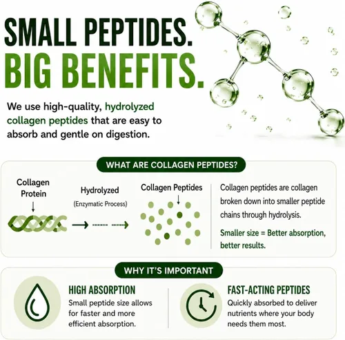 Vista 11 de HCL HERBAL CODE LABS Polvo de péptidos de colágeno con vitamina C y ácido hialurónico, fuentes más limpias y súper alta absorción, multitipo