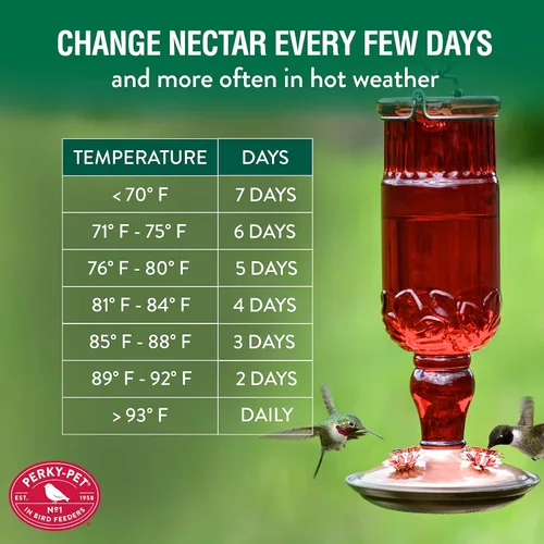 Vista 7 de Perky-Pet 8119-2 - Alimentador de colibrí con forma de botella, estilo antiguo y de color rojo
