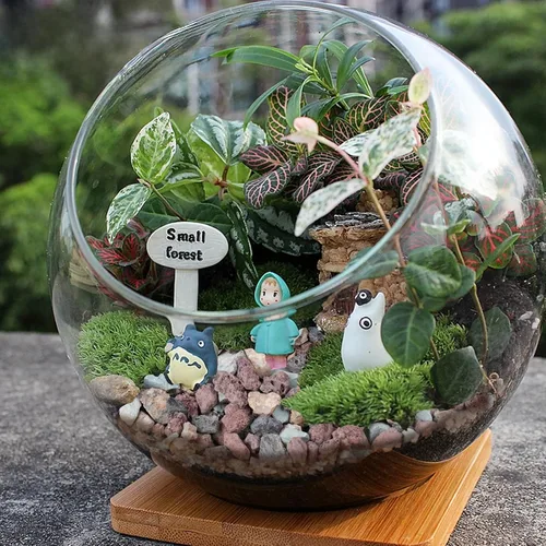 Vista 6 de Rocas de lava hortícola de 18 libras para plantas, rocas de cactus