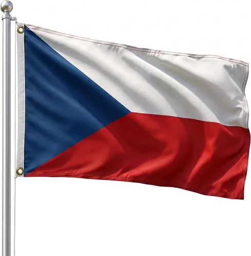 Vista 184 de DMSE - Bandera nacional beninesa beninesa de la República de África Occidental, 2 x 3 pies, 100 % poliéster, 100 % poliéster, resistente a los rayos