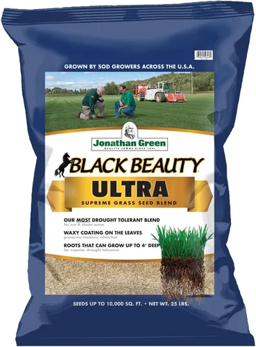 Vista 12 de Semillas de césped Jonathan Green Black Beauty