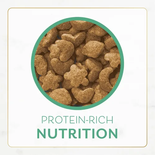Vista 9 de Purina Fancy Feast - Alimento seco para gatos con pescado y salmón del océano (paquete de 4) bolsas de 16 onzas