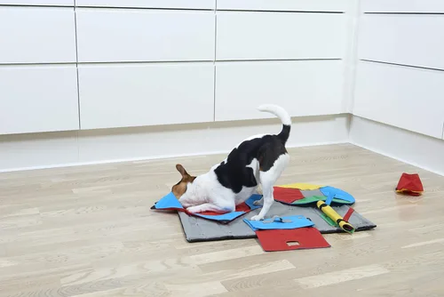 Vista 3 de Kruuse Buster Activity Mat - Tarea de rompecabezas para perros, paño de enriquecimiento de nivel 3 para estimulación mental y juego interactivo