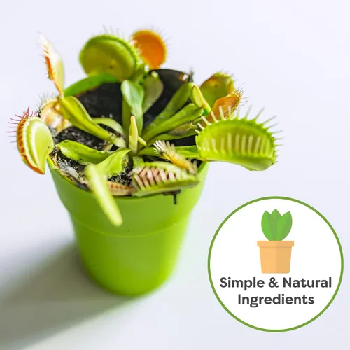 Vista 4 de Perfect Plants Suelo para plantas carnívoras Mezcla orgánica premium Uso con trampas para moscas Venus, plantas de jarra u otras plantas