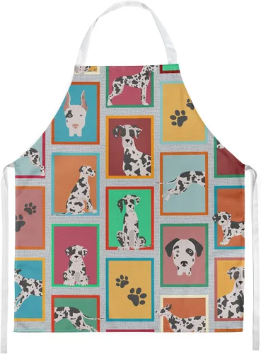 Vista 26 de Caroline's Treasures Boston Terrier