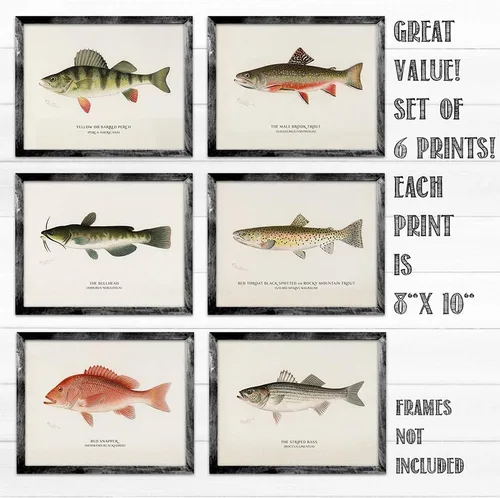 Vista 4 de Pescado - Póster vintage de pesca y playa en el océano, impresión de casa del lago y cabaña, impresión artística educativa, regalo para pescadores