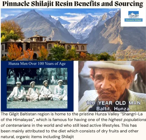 Vista 2 de Pinnacle - Resina Shilajit de grado dorado de alta calidad, 100% Shilajit del Himalaya de Gilgit Baltistan, potente energía natural, enfoque y apoyo