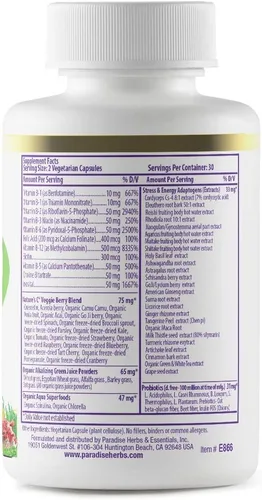 Vista 2 de Paradise Herbs & Essentials Earth's Blend Complejo B metilado 60 cápsulas