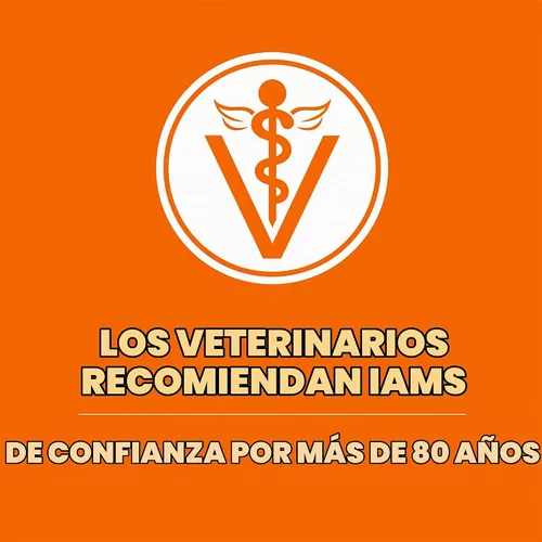 Vista 6 de IAMS Proactive Health Sensitive Digestion Alimento seco para gatos, pavo