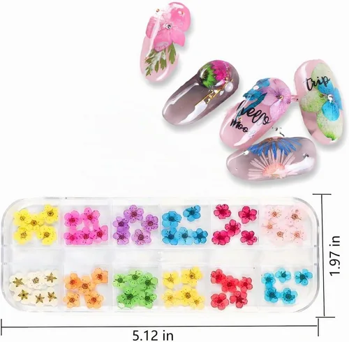 Vista 2 de 60 piezas de accesorios de resina de flores secas en 3D, mini naturales para suministros de arte de uñas, accesorios mixtos de flores estrelladas