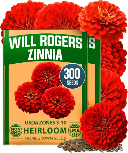 Vista 11 de HOME GROWN - Semillas de zinnia rosadas – 600 Zinnias Luminosa de 0.02 oz, semillas de flores anuales fáciles de cultivar para plantar al aire libre