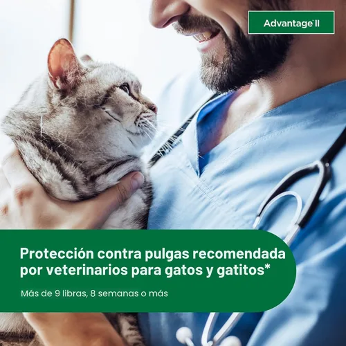 Vista 4 de Advantage II Tratamiento y prevención de pulgas recomendado por veterinarios para gatos grandes Gatos de más de 9 libras Suministro de 1 mes