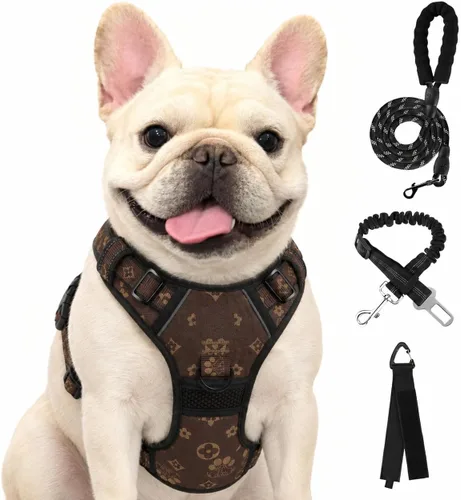 Vista 11 de FURRYFECTION - Arnés para perro a cuadros con correa y cinturón de Rosa
