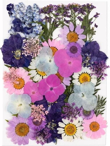 Vista 16 de 40 piezas de flores prensadas secas rosas para resina 40 unidades rosa