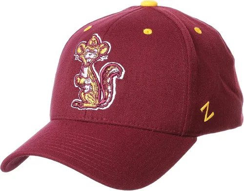 Vista 21 de ZHATS NCAA Vault - Sombrero elástico ajustado para hombre