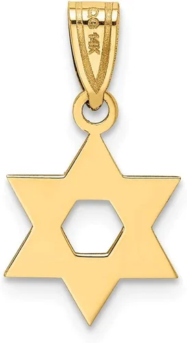 Vista 3 de Colgante de oro amarillo macizo de 14 quilates con estrella de David Lucky Jewish 0709in x 0433in