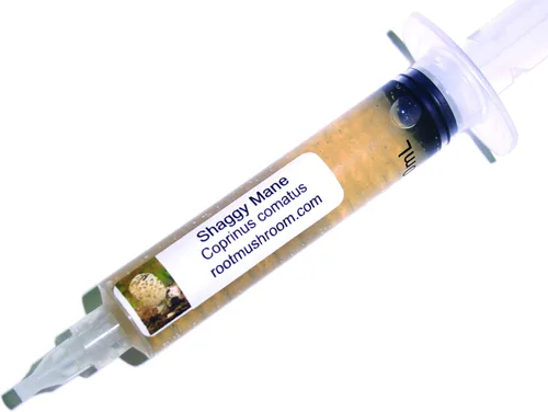 Vista 20 de Cultivo líquido de hongos/cabeza de oso (Hericium americanum)