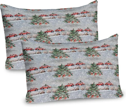 Vista 13 de Lunarable Juego de 2 fundas para almohada de otoño, tema vintage otoñal con estilo granja, ilustración de flores silvestres, artículo de cama