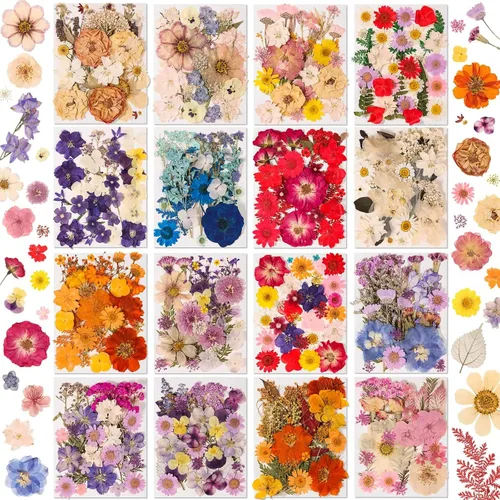 Vista 9 de Evatage - 200 flores secas prensadas pequeñas para manualidades de resina 200 piezas de flores prensadas