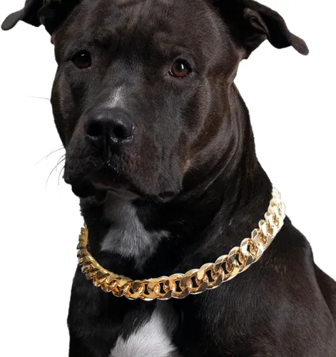 Vista 7 de Collar de perro de eslabones cubanos – Collar de perro de cadena dorada de metal ligero de 3/4 pulgadas de ancho, lindos accesorios de joyería