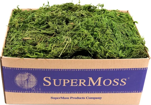 Vista 8 de SuperMoss (25320) Musgo de bosque preservado, fresco y verde, 2 oz