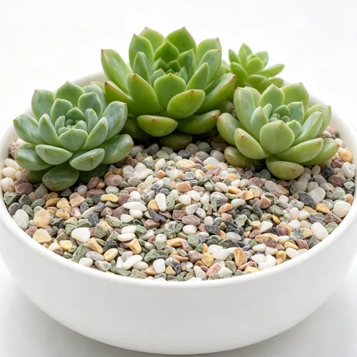 Vista 6 de Piedras de grava natural de 2 libras para suculentas y cactus, piedras decorativas de río de 1/5 de pulgada, perfectas para jarrones, acuarios