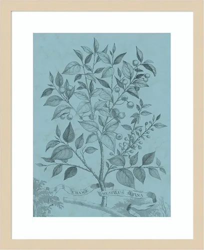 Vista 15 de Amanti Art Vision Studio - Póster enmarcado de 24 x 20 pulgadas, diseño botánico en V verde azulado por Vision Studio, arte de pared de naturaleza