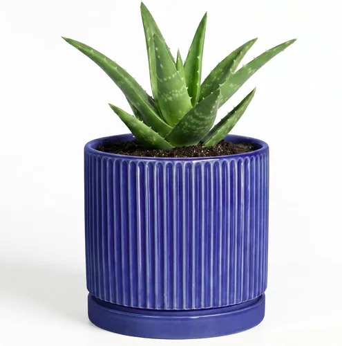 Vista 70 de 8 Inch Flower Pot, Ceramic Planters, Round Plant Pot, Beige