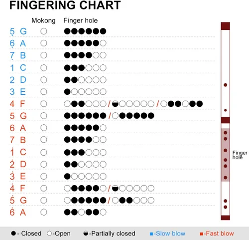 Vista 3 de Flauta dizi de bambú. Instrumento tradicional chino hecho a mano, Clave de Re
