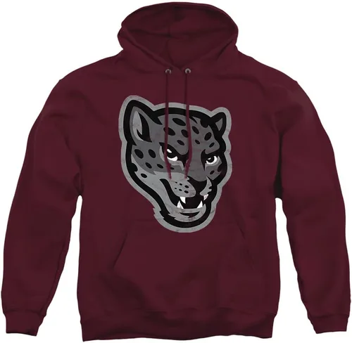 Vista 91 de Distressed College Primary Logo Adult Pullover Hoodie Collection 1 Universidad Estatal de Albany