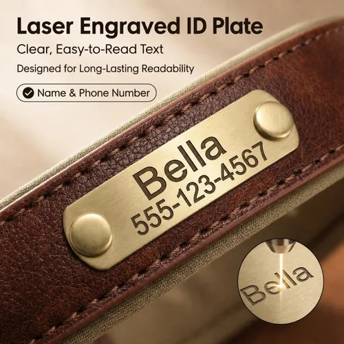 Vista 3 de Collar de cuero para perro personalizado y juego de correa, personalizado con diseño acolchado suave y resistente con placa de nombre grabada