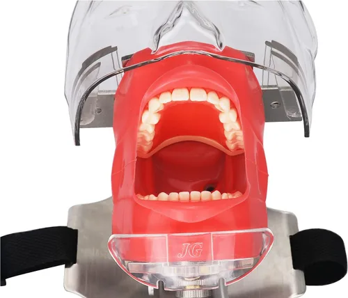 Vista 4 de NSKI Simulador Dental Nissin Manikin Phantom Head Dental Phantom Head Modelo Banco Soporte para Educación Dentista