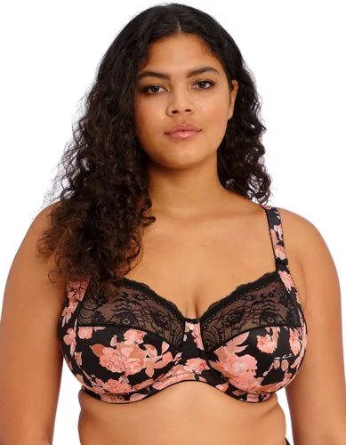 Vista 15 de Elomi Sujetador con aros de encaje elástico Morgan para mujer Rosa ballet