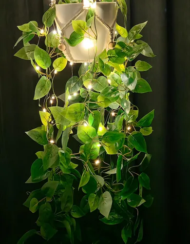 Vista 9 de Comtelek - Maceta colgante con luces para interiores, cesta colgante de macramé con cuentas de madera, soporte para macetas sin borlas