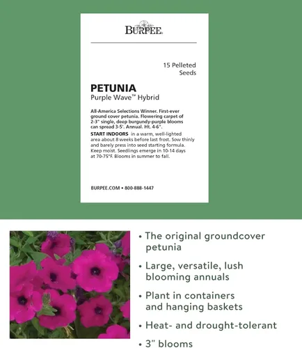 Vista 2 de Burpee Purple Wave - Semillas de petunia, 15 peletizadas (Paquete de 2)
