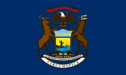 Vista 2 de Valley Forge, Bandera del estado de Michigan, nailon, 3 x 5 pies, 100% fabricada en Estados Unidos, cabecera de lona, ojales de latón resistentes
