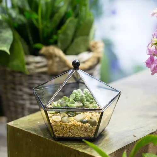 Vista 2 de NCYP Terrario geométrico de vidrio pequeño, contenedor cerrado en caja de joyas, maceta para suculentas, decoración de jardín para interiores