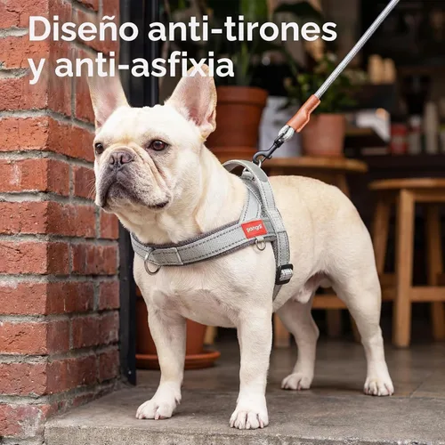 Vista 2 de Arnés para perro sin tirones con asa, chaleco reflectante ajustable para Corgi, arnés para mascotas acolchado con malla de aire transpirable