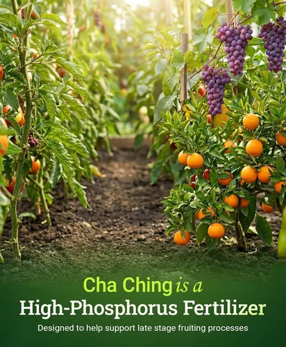 Vista 4 de FoxFarm Cha Ching Fertilizante soluble en agua para floración tardía y cosecha - Fertilizante con alto contenido de fósforo 9-50-10, apoya