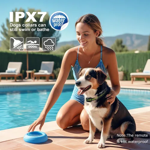 Vista 6 de Collar electrónico para perro con control remoto, collar de entrenamiento de perro impermeable de 2600 pies para perros pequeños, medianos
