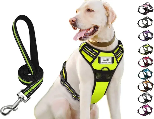 Vista 10 de Juego de correa de arnés para perro personalizado sin tirones con número de teléfono con nombre personalizado Reflective Breathable Heavy Duty