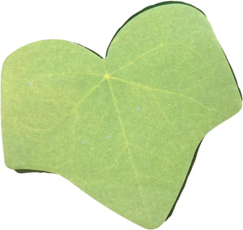 Vista 2 de Wrapables Notas adhesivas de hoja de árbol, verde