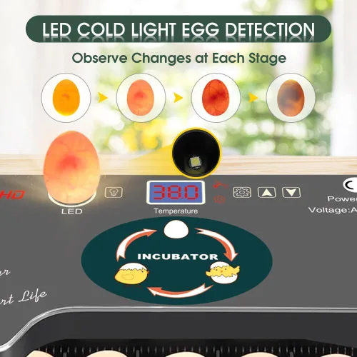 Vista 7 de Incubadora de 12 huevos, girador automático de huevos, control de temperatura, vela incorporada, recarga automática de agua para incubar huevos