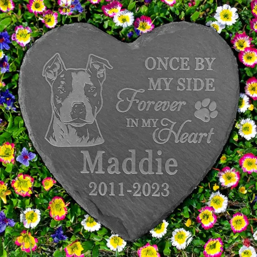 Vista 13 de Regalos conmemorativos de American Staffordshire Terrier, piedra de terrier estadounidense de Staffordshire, regalos de pérdida de American