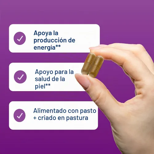 Vista 7 de Hígado de ganado alimentado con grama, criado pasto de Vital Proteins (120 Cápsulas, 0,026 oz cada una)