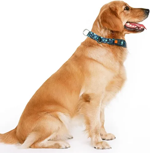 Vista 3 de Collar Martingale para perros con hebilla, antideslizante, a prueba de escapes, collares limitados para mascotas, cierre a presión con cierre