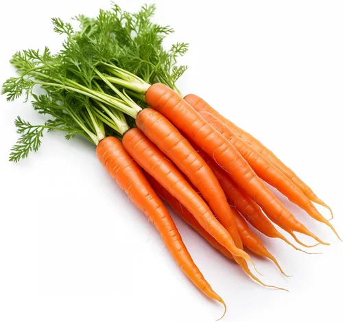 Vista 28 de 50 Hale's Best Cantaloupe Seeds for Planting - Sweet Aromatic Heirloom, Non-GMO, USA Grown by RDR Seeds