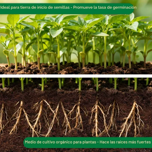 Vista 3 de ZeeDix 2 piezas de ladrillos de coco para plantas, fibra de coco 100% orgánica para tierra de jardín y mezcla de macetas, bajo equilibrio de EC