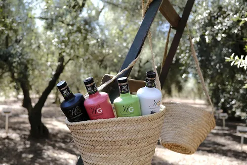 Vista 9 de HACIENDA GUZMÁN - Aceite de Oliva Virgen Extra Bio Mezcla de Manzanilla, Hojiblanca y Arbequina. Perfecto para cocinar, hornear y aderezo